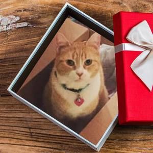 Meet your Posher, Mellissa